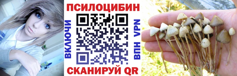 Галлюциногенные грибы GOLDEN TEACHER продажа наркотиков Козельск